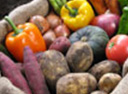 vegetable crops