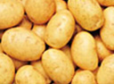 potato