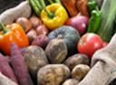 vegetable crops